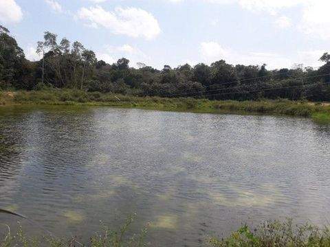 Manaus Häuser, Manaus Haus kaufen