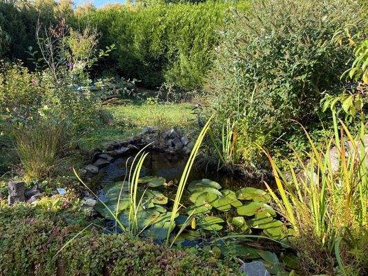 Gartenteich