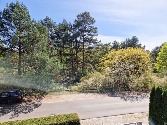 Blick aus OG ins Naturschutzgebiet
