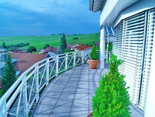 Westterasse Blick Weinberge