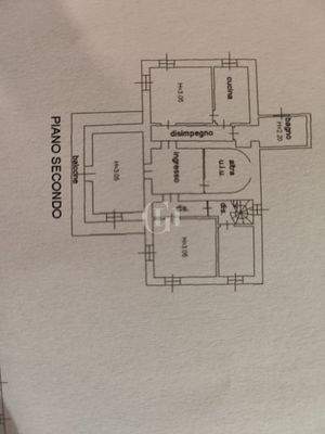 WhatsApp Image 2025-01-10 at 18.31.05