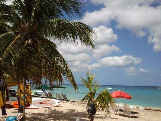 WhatsApp Image 2025-07-24 at 14.49.29