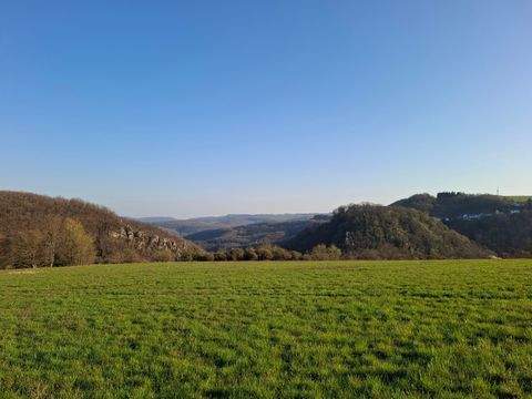 Kirn Häuser, Kirn Haus kaufen