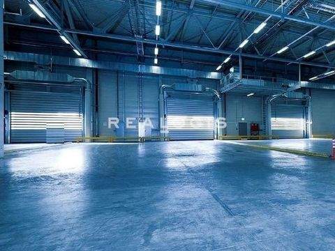 Böblingen Halle, Böblingen Hallenfläche