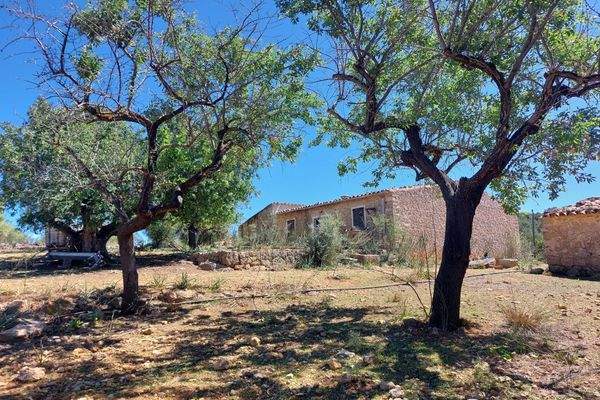 Grundstück mit Bauprojekt