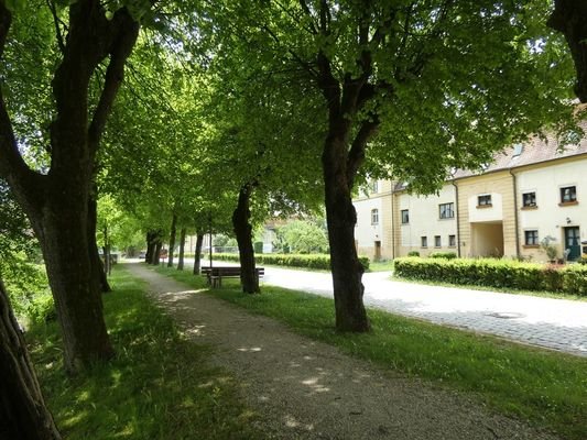 Allee vor dem Haus
