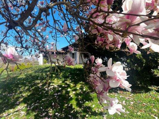 Herzlich Willkommen!