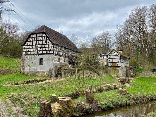 15 Baumpflege am Seebach abgeschlossen.jpg