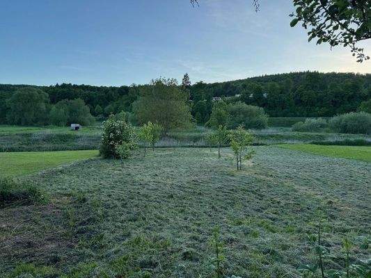 Wiese vor dem Grundstück