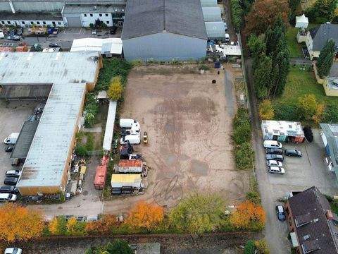 Barsbüttel Halle, Barsbüttel Hallenfläche