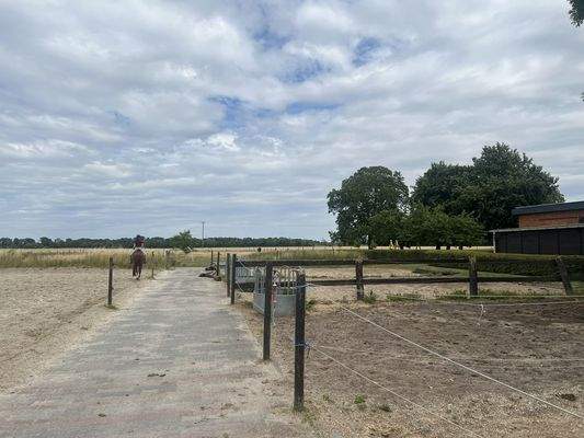 Reitplatz und Paddock