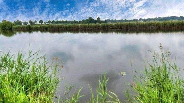 25286091-DSCN3101 (Small)