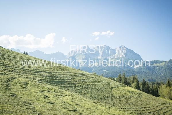 _FM80709_web