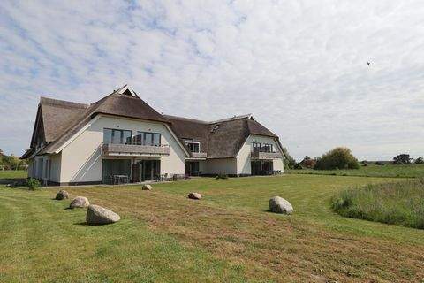 Putbus / Wreechen Wohnungen, Putbus / Wreechen Wohnung kaufen