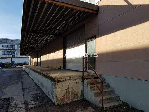 Oberhaching Halle, Oberhaching Hallenfläche