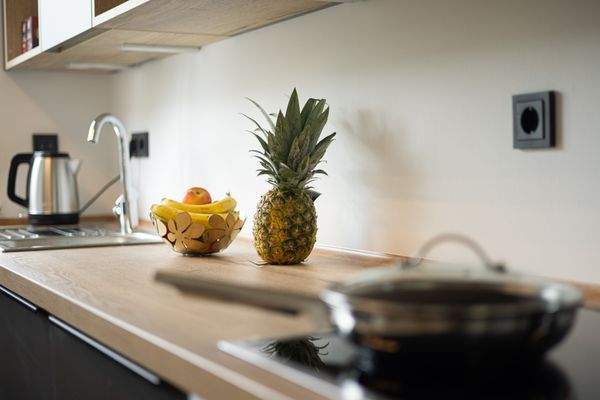 Doppelhaus_160 Ruhepol_Küche-2