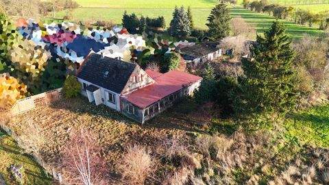 Iden / Busch Häuser, Iden / Busch Haus kaufen