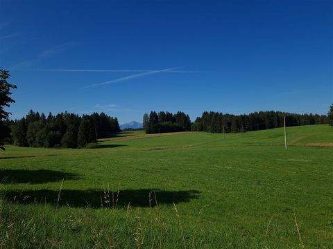 Bernbeuren Bauernhöfe, Landwirtschaft, Bernbeuren Forstwirtschaft