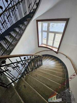 20250714_131535_resized_1