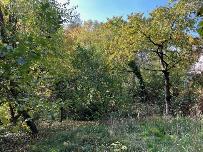 Grundstück mit Altbestand in sonnenexponierter Hanglage und Weitblick ins Grüne!