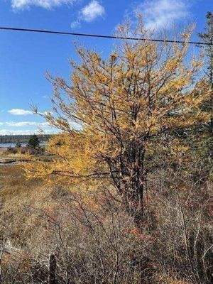 Impressionen Spätherbst