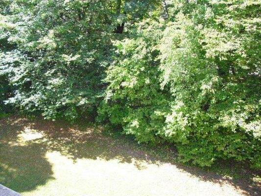 Blick auf das Parkgelände des Bayerischen Rundfunk