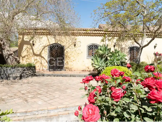 Schermata 2024-08-26 alle 14.33.15.png