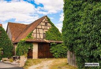 Keine Originalbilder