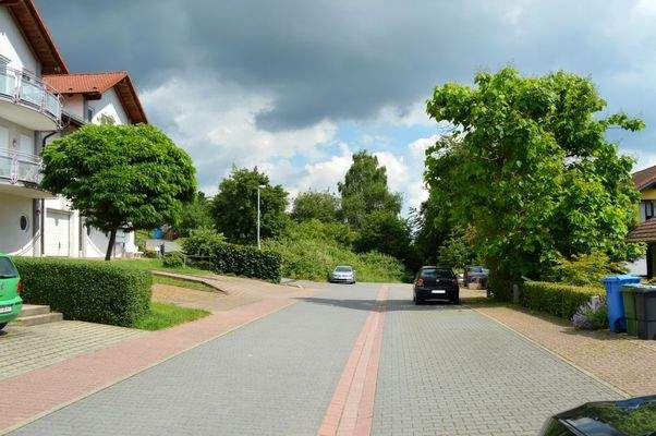 ... auf der Sophienhöhe.JPG