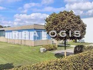 Horb Halle, Horb Hallenfläche