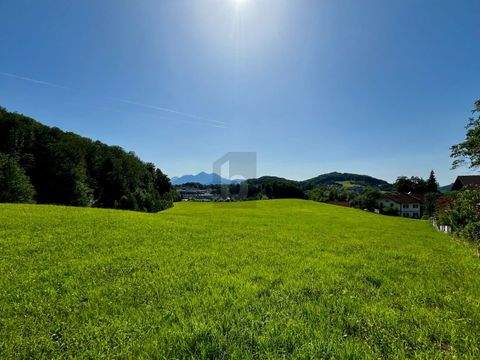 Salzburg Bauernhöfe, Landwirtschaft, Salzburg Forstwirtschaft