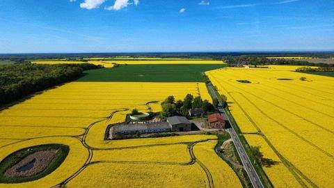 Blankenhagen Bauernhöfe, Landwirtschaft, Blankenhagen Forstwirtschaft