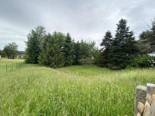 Grundstücksservice für Livinghaus-Baufamilien