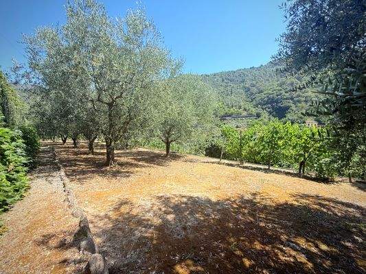 DA_1037_TERRA ITALIA IMMOBILIEN_REAL ESTATE_DOLCEA