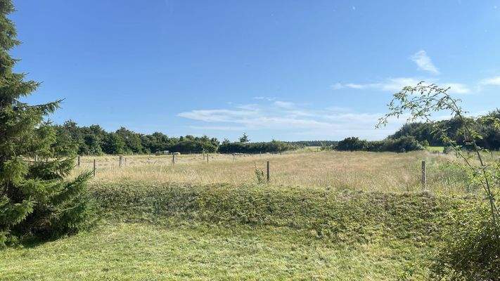 Blick vom Grundstück