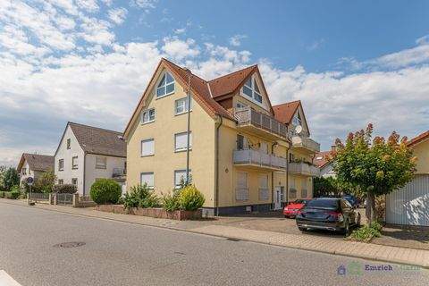 Saulheim Häuser, Saulheim Haus kaufen