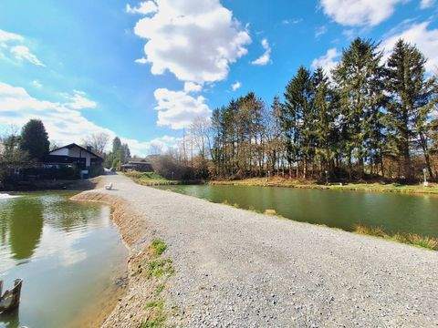 Much / Ortsiefen Gastronomie, Pacht, Gaststätten