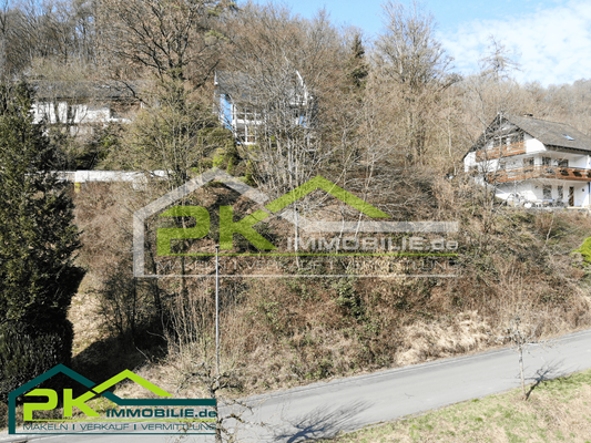 Ansicht Grundstück_vorne