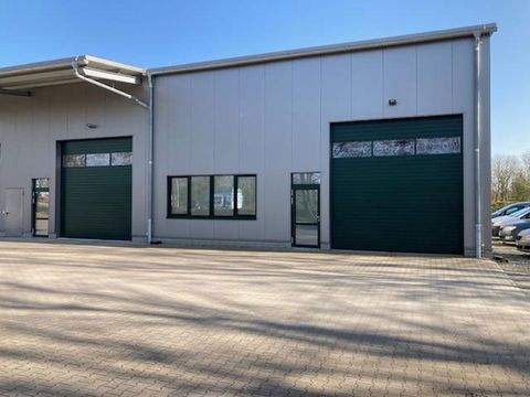 Aurich Halle, Aurich Hallenfläche