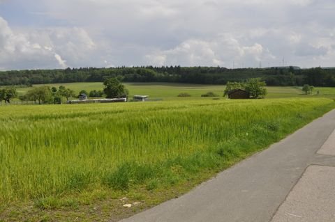 Reidenhausen Grundstücke, Reidenhausen Grundstück kaufen