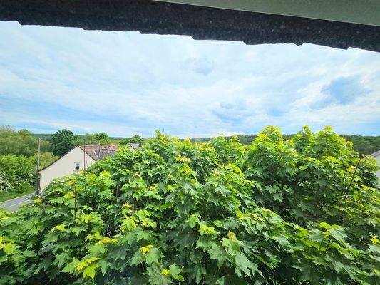 Blick aus dem Dachgeschoss