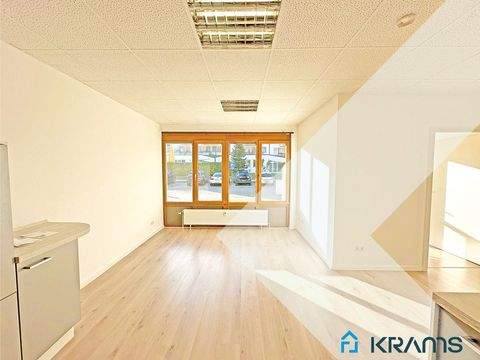 Eningen unter Achalm Wohnungen, Eningen unter Achalm Wohnung kaufen