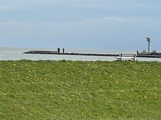 Blick in die Grimmerhörnbucht