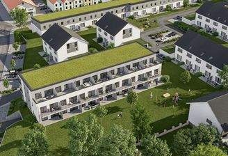 BV Linkenheim_Vogel3_VF_30-07-2021