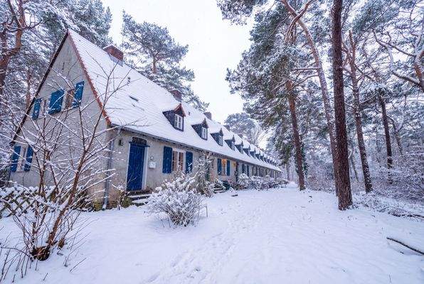 Winter in der Waldsiedlung