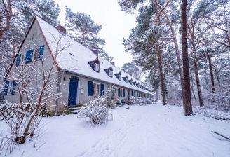 Winter in der Waldsiedlung