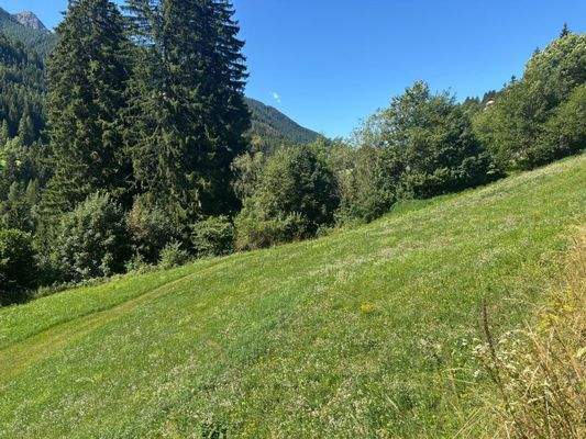 Ulten – Tourismus, Bauen und Gastronomie vereinen sich hier mit einzigartigen Chancen für neue Ideen und ein attraktives Baugrundstück – Ultimo, turismo, costruzioni e gastronomia si incontrano qui con opportunità uniche per nuove idee e un terreno edific