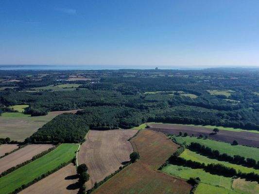 Ostsee - zum greifen nah