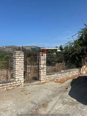 WhatsApp Image 2024-09-06 at 13.20.59 (71).jpeg