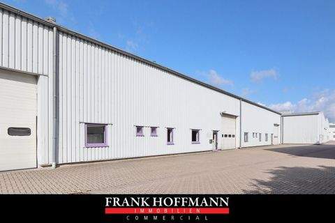 Kaltenkirchen Halle, Kaltenkirchen Hallenfläche